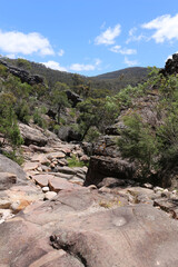 On a hiking trail in the Grampians National Park, Victoria, Australia