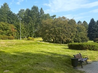 Beautiful sunny day in the park with green lawns, trees and a bench