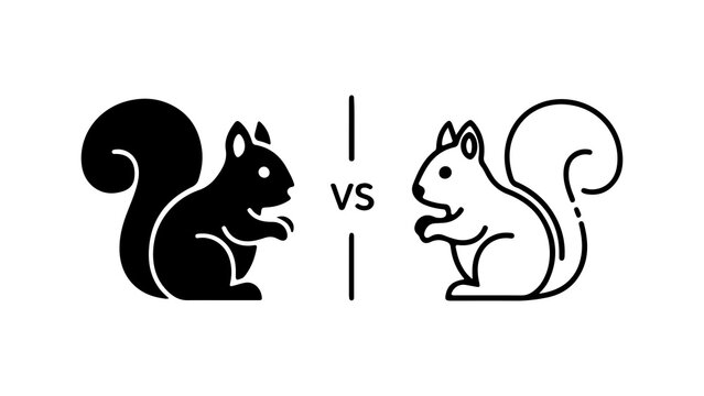 Squirrels facing off with transparent background