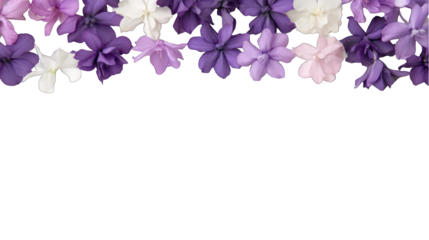 Floral border with purple and white flowers on transparent background decorative frame wedding invitation