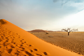 Sossusvlei in Namibia is a desert wonder, famous for its giant red dunes