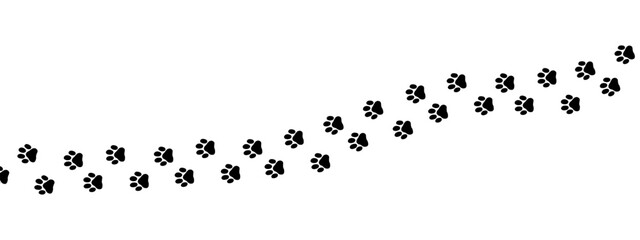 Puppy paw and cat print with dog step for a pet vector pattern or footprint trail design. This linear illustration features clean pawprints and animal icons for creating simple backgrounds or pet iden