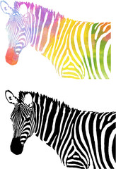Watercolor Zebra Pattern Silhouette