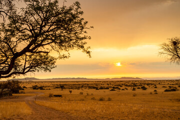 Golden sunset over the Namibian savanna with scattered trees on the horizon