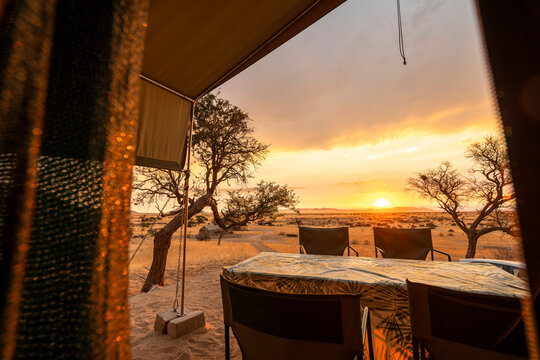 Golden sunset over the Namibian savanna with scattered trees on the horizon