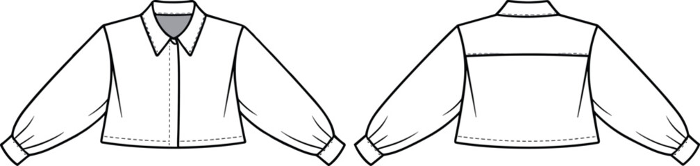 Cropped shirt CAD drawing, flat vector illustration, button-down front, puff sleeve, pointed collar, fashion sketch, garment design, apparel, back view