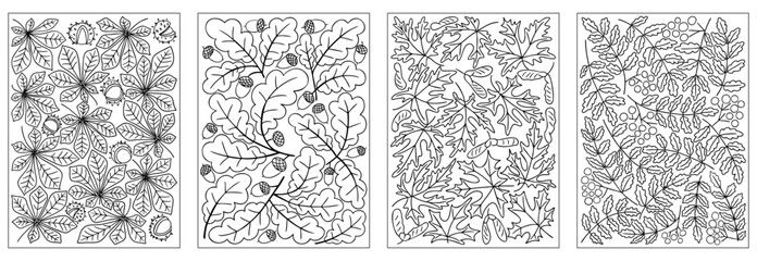 Set of hand drawn autumn coloring pages with chestnut, oak, maple, and rowan leaves, acorns, and berries. Concept of fall season, relaxation, nature illustration, and coloring activity