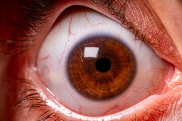 Macro shot of a human eye with detail. Close-up of a human eye. Human eye showing iris and pupil detail. © onderortel