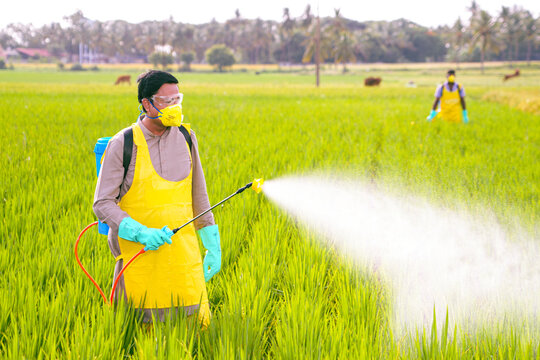 Farmer spraying his agricultural feild with safety goggles, mask and gloves for safety