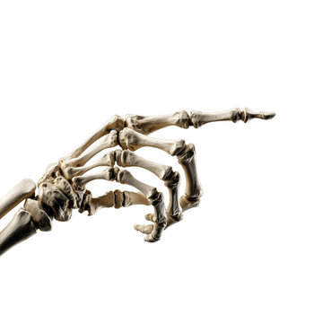 Skeleton hand pointing halloween concept anatomy bone finger direction black background spooky dead scary 100