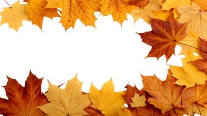 Colorful autumn leaves in shades of orange and yellow arranged on a transparent background. The leaves are isolated and create a natural frame effect.