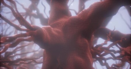 A detailed view of a complex network of neurons reveals the elegant pathways of connections and synapses. This dynamic interplay illustrates brain functionality and neural communication. - Powered by Adobe