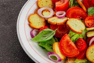 Panzanella salad tomato, croutons, onions vegetables dish natural product tasty snack fresh delicious gourmet food background on the table rustic top view copy space