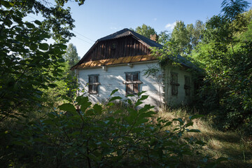 Abandoned old wooden house among the green trees and tall grass. Rural landscape. Ukrainian architecture