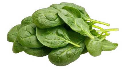 Fresh spinach leaves isolated on transparent background healthy eating food ingredient raw vegetable leafy green nutrition vegetarian diet