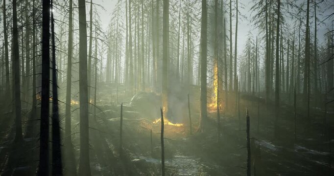 Flames flicker through the charred trees of a desolate forest. Thick smoke spirals into a misty atmosphere, casting an ominous glow as nature faces its fury. Shadows dance between the trunks.