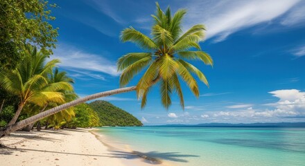 Tropical beach scene with a leaning palm tree, blue water and sky