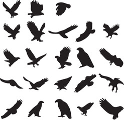 Collection of Bird Silhouettes in Various Flying Poses