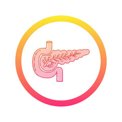 Illustration of the pancreas and duodenum within a colorful gradient circle, symbolizing diabetes and digestive health isolated on transparent background