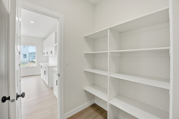 White pantry with shelves and a door
