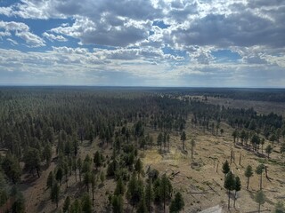 Vast Canyon Landscape: Beautiful, sweeping view of the majestic national park, showcasing wonderful layers of natural rock formations.