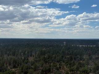 Vast Canyon Landscape: Beautiful, sweeping view of the majestic national park, showcasing wonderful layers of natural rock formations.