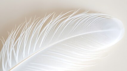A delicate white feather displayed in sharp detail, highlighting its natural beauty and intricate texture.