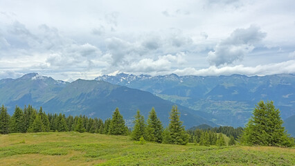 Fototapeta premium Mountain landscape with pine trees under a cloudy sky in La Vanoise nature reserve, Savoie, France 