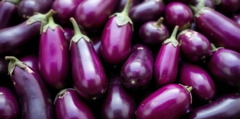 Abundant Harvest Vibrant Eggplants Ready for Market ? Glistening Purple Vegetables in a Round Still Life