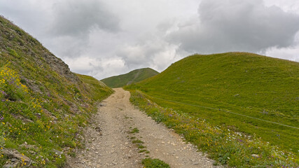 Fototapeta premium hiking trail through a green mountain landscape under a cloudy sky in La Vanoise nature reserve, Savoie, France 