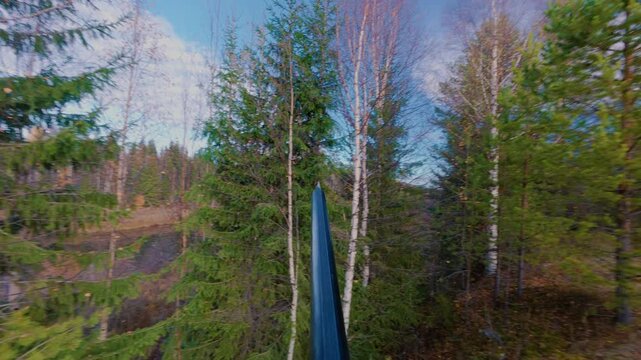 A hunter with a shotgun tracks down game and aims at a tree. A man with a double-barrelled shotgun in the woods. From the first person.