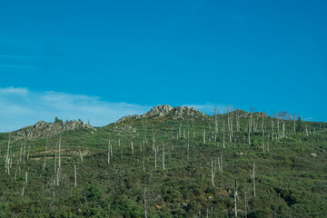 Rocky hills in the portuguese countryside