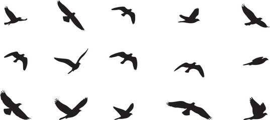 Collection of silhouettes of birds in flight against a white background