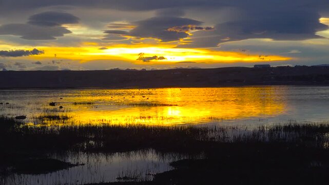 El Calafate. Laguna Nimez. Lake Argentino.
