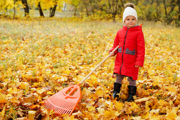 A young child in a red coat uses a rake to gather vibrant autumn leaves in a park filled with yellow and orange foliage
