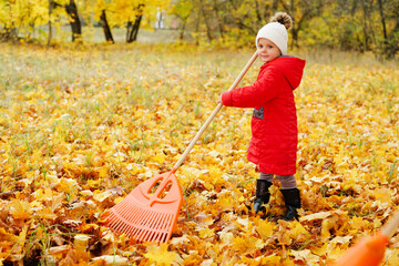 Young child with a raking tool gathers bright yellow and orange leaves in a park during fall, surrounded by trees
