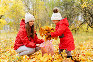 A mother and her child enjoy a fun activity collecting bright autumn leaves in a park filled with golden foliage under clear blue skies