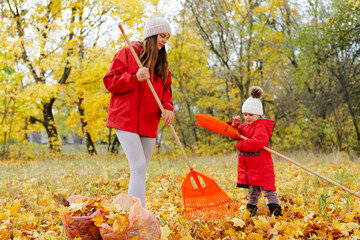 A woman and a child rake colorful autumn leaves together in a park on a sunny day surrounded by yellow foliage