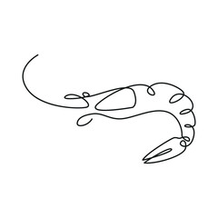 Shrimp one line. Vector drawing.
