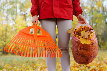 A person in a red jacket collects fallen leaves in a wooded area during autumn, holding a rake and a bag of leaves