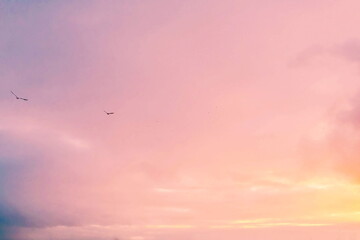 Serene Pink and Purple Sunset Sky with Gentle Clouds and Soaring Birds, Tranquil Evening Horizon, Peaceful Nature Background, Calming Pastel Colors, Idyllic Dusk, Dreamy Skyscape for Inspiration

