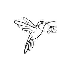 Elegant Hummingbird Line Art with Flower Minimalist Bird Illustration