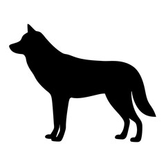 Silhouette of a Wolf Standing Alert on a White Background Illustration
