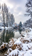 Winter river scene with snow-covered trees