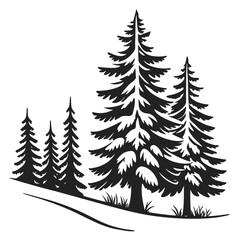 Pine trees in a forest