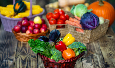 Harvest fruits and vegetables. Vegetables growing naturally in a green background. Autumn harvest...