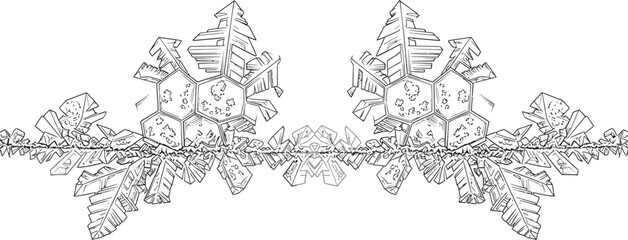 Snowflake winter ice crystal frost frozen cold season nature design snow flake