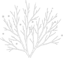 Winter tree bare branches snowflakes nature season cold frost ice outline art