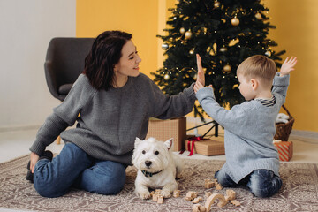 Family playing, high-fiving with pet dog during christmas