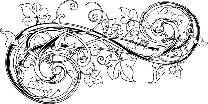 Elegant flourish design with swirling vines and leaves, perfect for invitations, menus, or adding a touch of classic beauty to any project